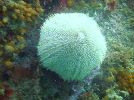 DSC14677